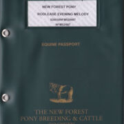 New Forest Pony Passport