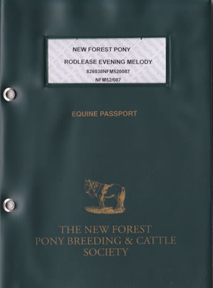 New Forest Pony Passport