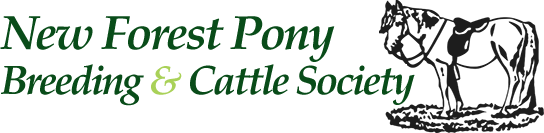 New Forest Pony & Cattle Breeding