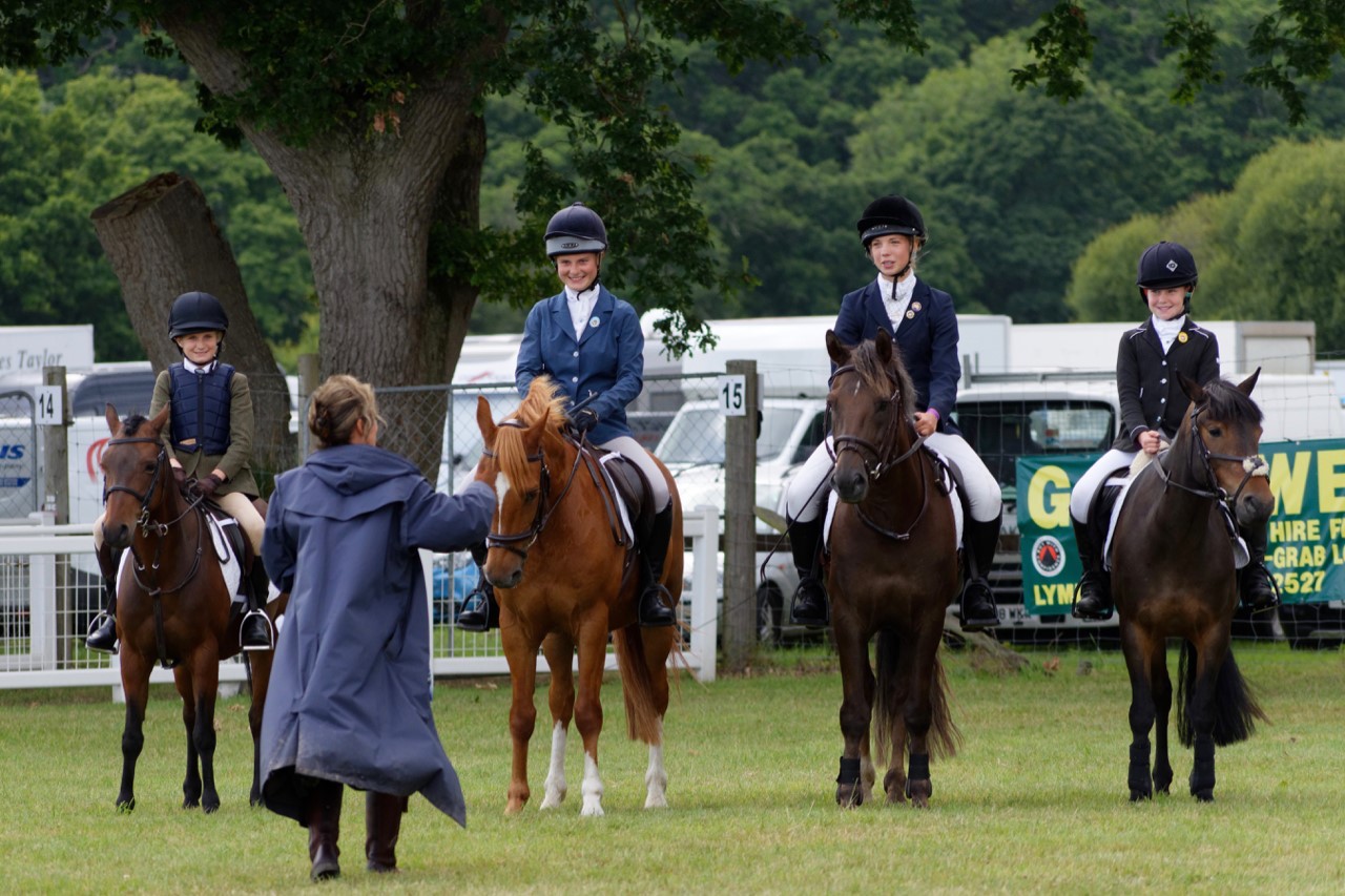 New forest pony team success at the new forest and hants county show