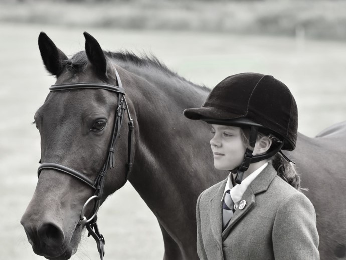 Violet & Howen Buttons... - New Forest Pony & Cattle Breeding